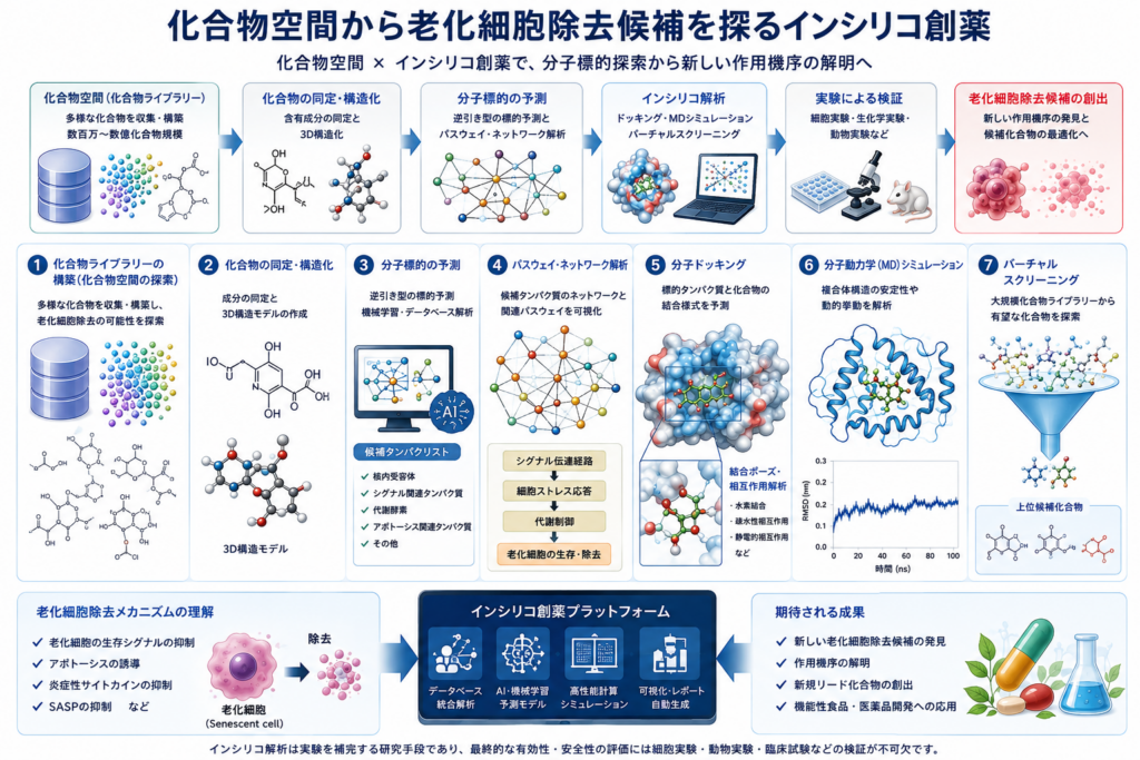 老化細胞除去候補を探る ― インシリコ創薬による分子標的探索